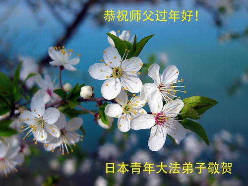Image for article גלויות ברכה למאסטר לי לכבוד השנה הסינית החדשה הגיעו מ-63 מדינות ואזורים