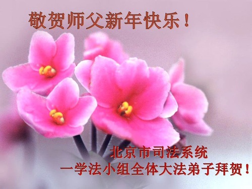 Image for article מתרגלים ותומכים של פאלון דאפא (פאלון גונג) העובדים במערכת המשפט בסין מאחלים למאסטר לי שנה חדשה שמחה