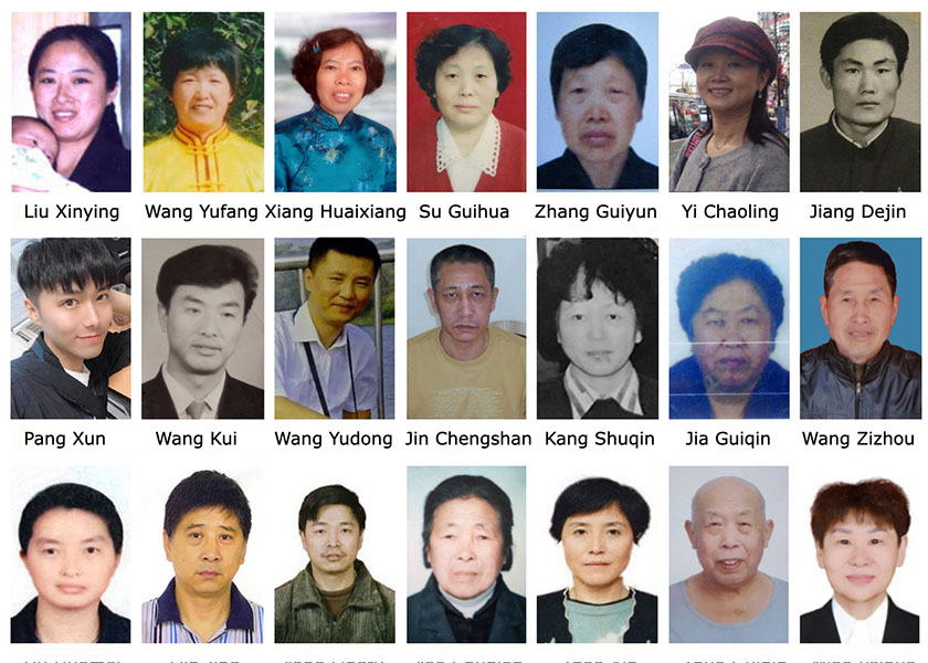 Image for article דווח ב-2023: 209 מתרגלי פאלון גונג מתו ברדיפה בשל אמונתם