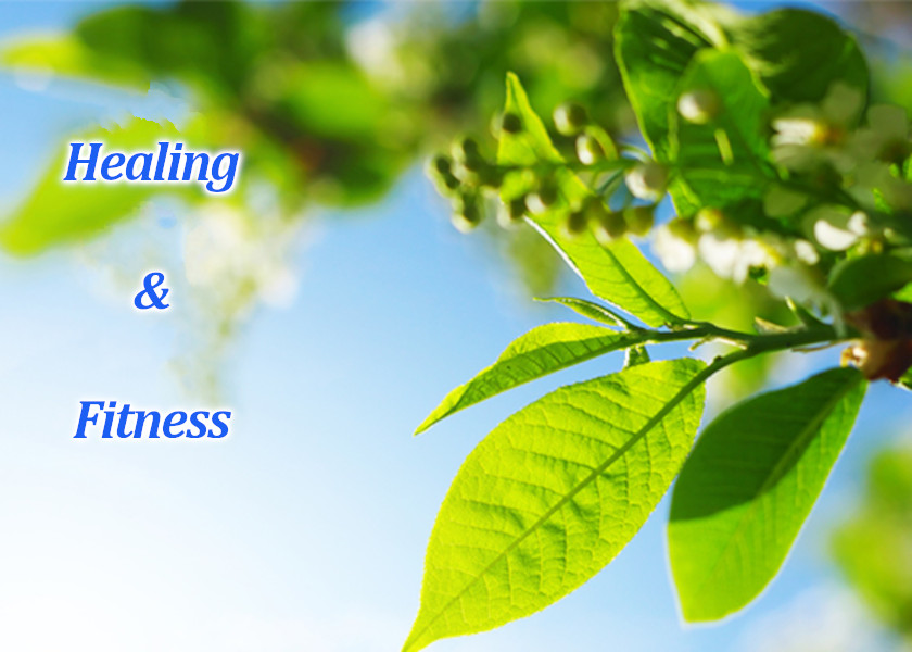 Image for article בת 82 החלימה במהירות לאחר פגיעה מאופנוע