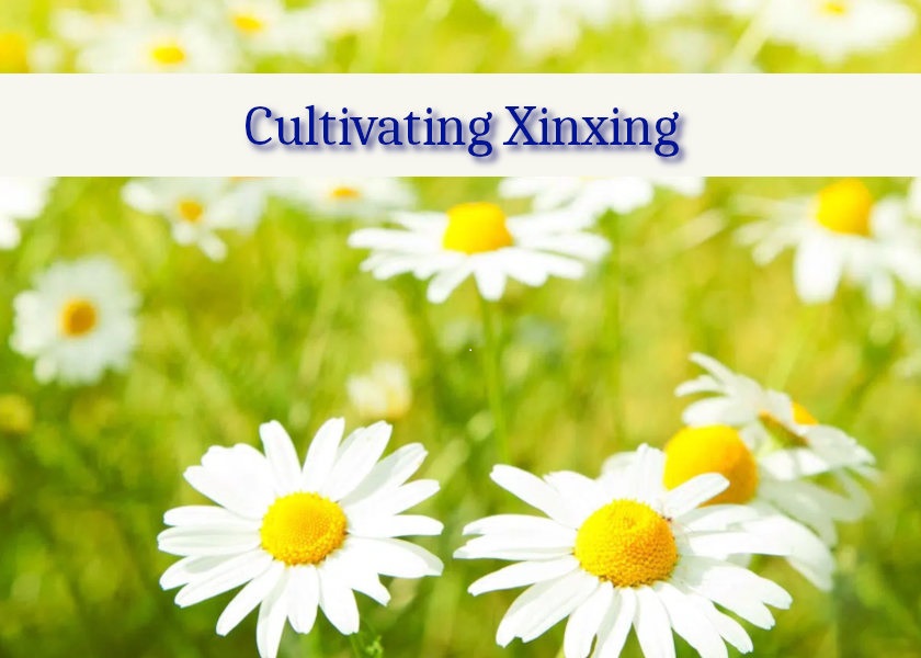 Image for article הטיפוח שלי השתפר אחרי ששמתי לב איך אני מבצע את התרגול