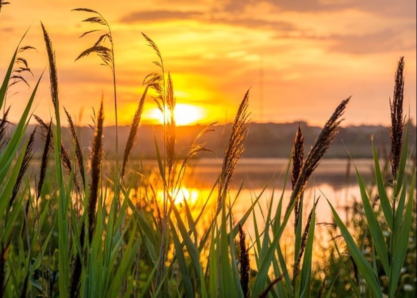 Image for article למתרגלים המכורים לצפייה בסרטוני וידיאו קצרים