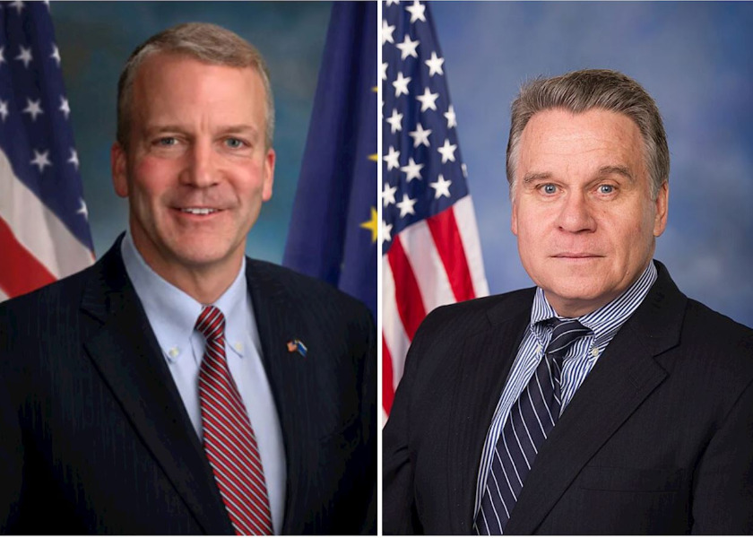 Image for article דו