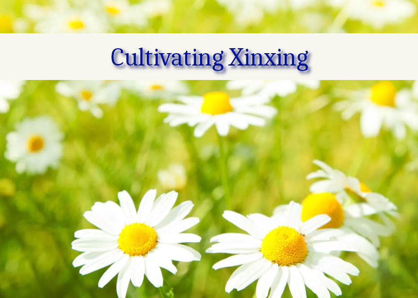 Image for article {מהוועידה בשוויץ]: לוותר על החזקות ולהתייחס לכסף בקלילות