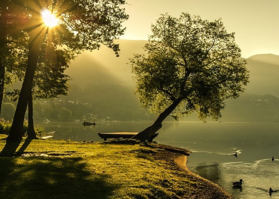 Image for article מוועידת הפא של פלורידה 2025: תובנות בנוגע להסתכלות פנימה ושינון הפא