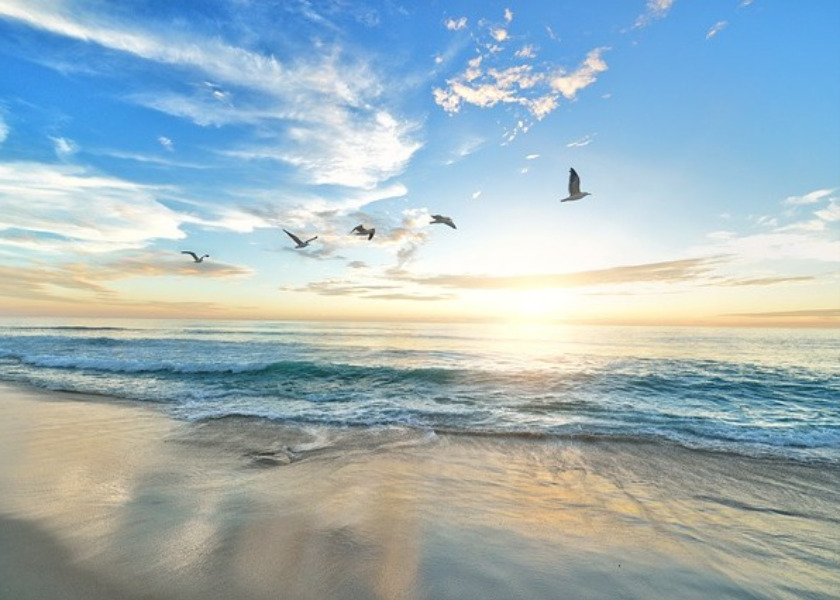 Image for article כאשר נכשלתי בתפקידי לגייס עובדים...